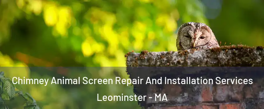  Chimney Animal Screen Repair And Installation Services Leominster - MA