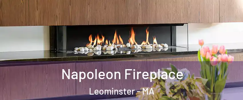 Napoleon Fireplace Leominster - MA